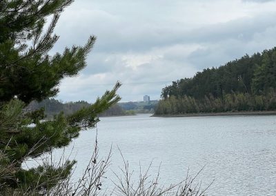 toller Ausblick trotz trübem Wetter