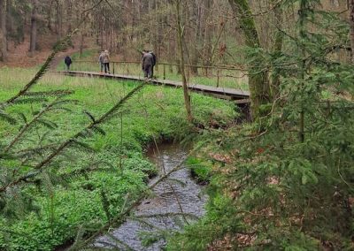 Waldspaziergang